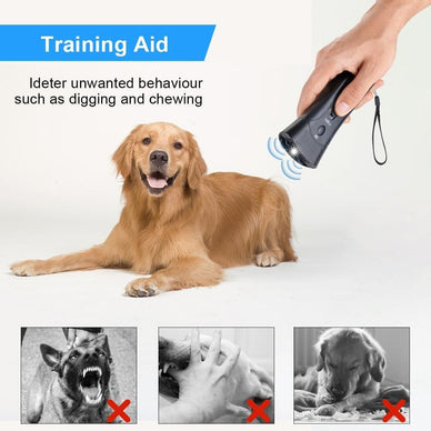 Experience Calm and Confident Dog Control!